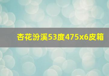 杏花汾溪53度475x6皮箱