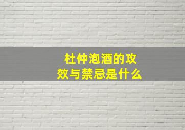 杜仲泡酒的攻效与禁忌是什么