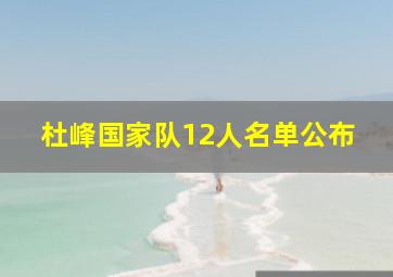 杜峰国家队12人名单公布