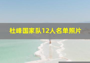 杜峰国家队12人名单照片