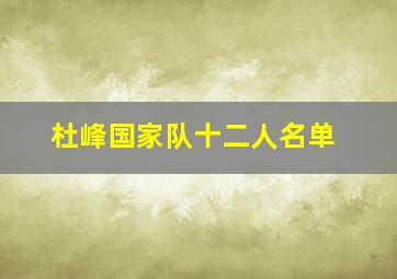 杜峰国家队十二人名单