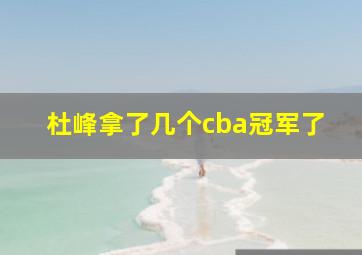 杜峰拿了几个cba冠军了