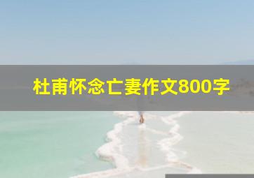 杜甫怀念亡妻作文800字