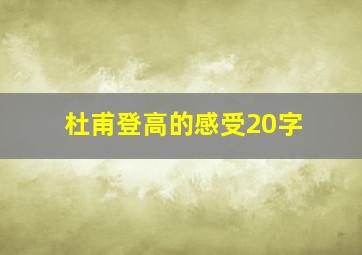 杜甫登高的感受20字