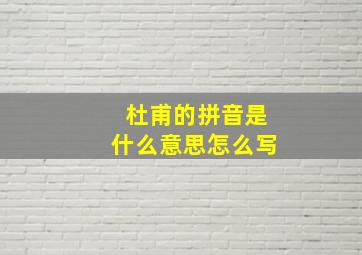 杜甫的拼音是什么意思怎么写