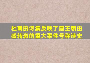 杜甫的诗集反映了唐王朝由盛转衰的重大事件号称诗史