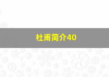 杜甫简介40