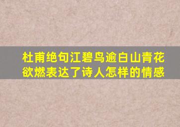 杜甫绝句江碧鸟逾白山青花欲燃表达了诗人怎样的情感