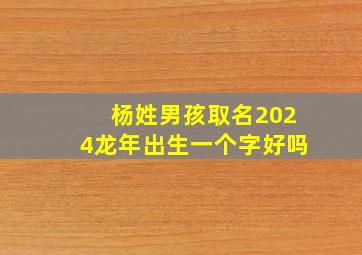 杨姓男孩取名2024龙年出生一个字好吗