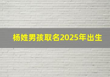 杨姓男孩取名2025年出生