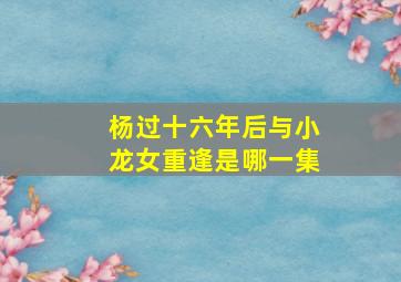 杨过十六年后与小龙女重逢是哪一集