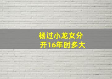 杨过小龙女分开16年时多大