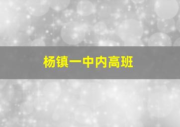 杨镇一中内高班