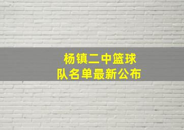 杨镇二中篮球队名单最新公布