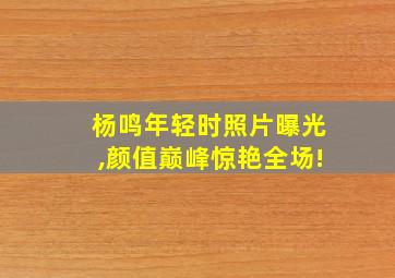 杨鸣年轻时照片曝光,颜值巅峰惊艳全场!