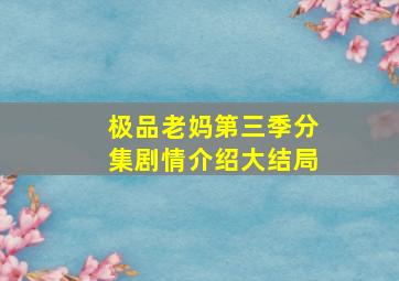 极品老妈第三季分集剧情介绍大结局