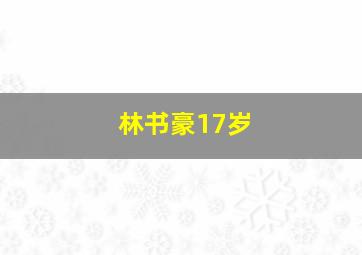 林书豪17岁