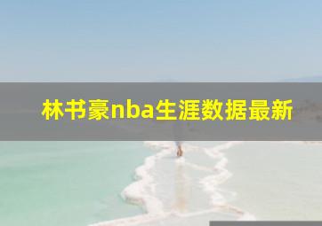 林书豪nba生涯数据最新