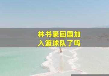 林书豪回国加入篮球队了吗