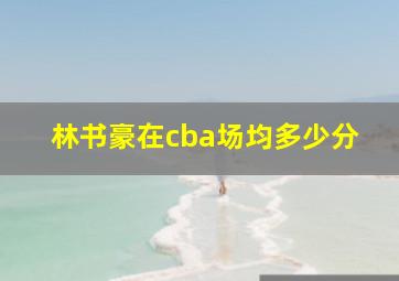 林书豪在cba场均多少分