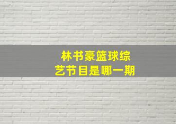 林书豪篮球综艺节目是哪一期