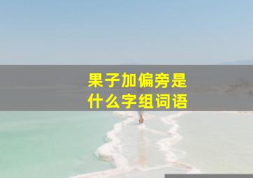 果子加偏旁是什么字组词语