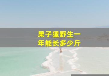 果子狸野生一年能长多少斤