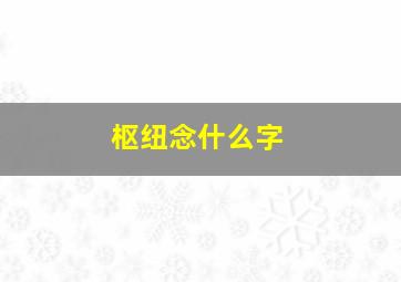 枢纽念什么字