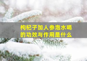 枸杞子加人参泡水喝的功效与作用是什么