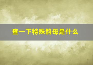 查一下特殊韵母是什么