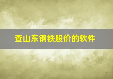 查山东钢铁股价的软件