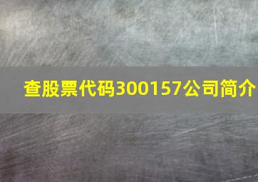 查股票代码300157公司简介