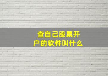 查自己股票开户的软件叫什么