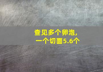 查见多个卵泡,一个切面5.6个