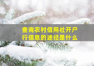 查询农村信用社开户行信息的途径是什么