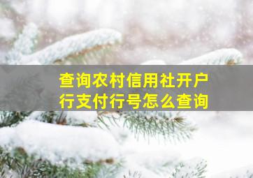 查询农村信用社开户行支付行号怎么查询