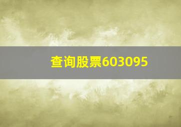 查询股票603095