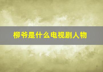 柳爷是什么电视剧人物