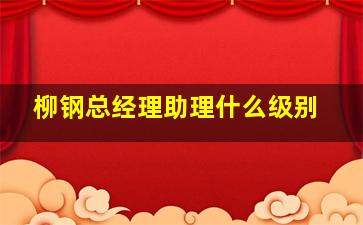 柳钢总经理助理什么级别