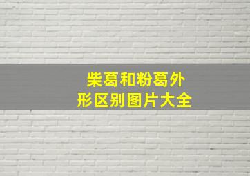 柴葛和粉葛外形区别图片大全