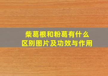 柴葛根和粉葛有什么区别图片及功效与作用