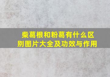 柴葛根和粉葛有什么区别图片大全及功效与作用