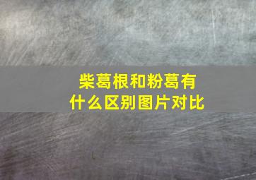 柴葛根和粉葛有什么区别图片对比