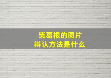 柴葛根的图片辨认方法是什么