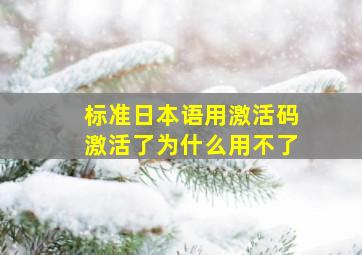 标准日本语用激活码激活了为什么用不了