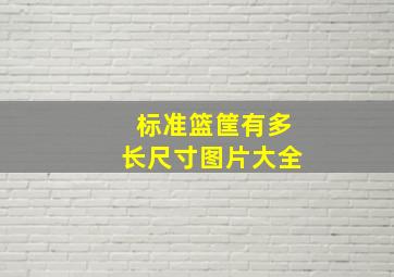 标准篮筐有多长尺寸图片大全