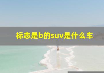 标志是b的suv是什么车