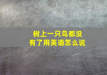 树上一只鸟都没有了用英语怎么说