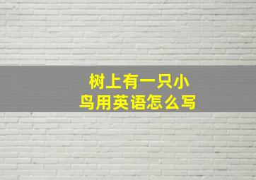 树上有一只小鸟用英语怎么写