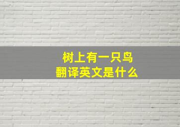 树上有一只鸟翻译英文是什么